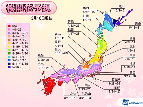 都心では春分の日から週末にかけて見頃のピークに―ウェザーニューズ、2013年「第三回桜開花予想」を発表