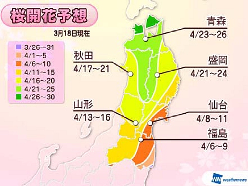 桜開花予想～東北地方（出典：ウェザーニューズ）