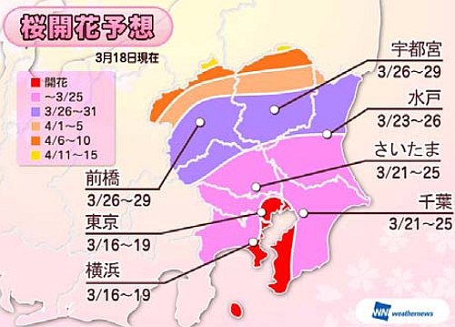 桜開花予想～関東地方（出典：ウェザーニューズ）