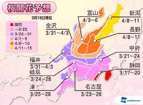 桜開花予想～東海地方（出典：ウェザーニューズ）