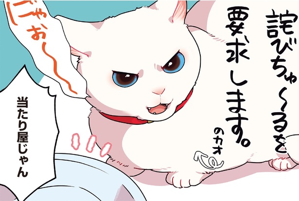 漫画当たり屋じゃんIQが五億ある愛猫はおやつをもらうためにありとあらゆる手を使うが愛されたがりの白猫ミコさん 7 WEBザ