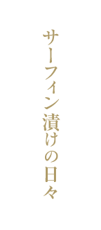 サーフィン漬けの日々