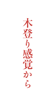 木登り感覚から