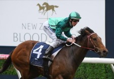 豪G1メムジーS、ヒューミドールが馬群捌いて混戦を制す