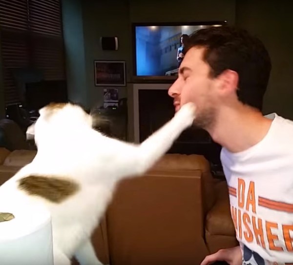 飼い主のキスを拒むよ頑なに ビンタの代わりに猫パンチ 猫ジャーナル Goo ニュース 飼い主のキスを拒むよ頑なに ビンタの代わりに猫パンチ 猫ジャーナル Goo ニュース