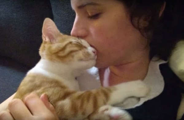 打ち続く甘え攻撃繰り出す子猫 顔に擦り寄り目を細め 猫ジャーナル Goo ニュース