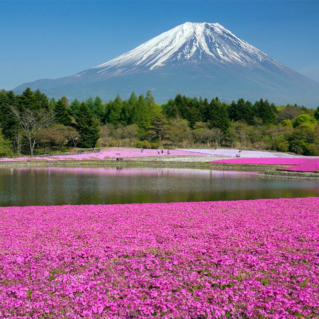 高山病を治すには?トイレにはチップが必要?富士登山の注意点