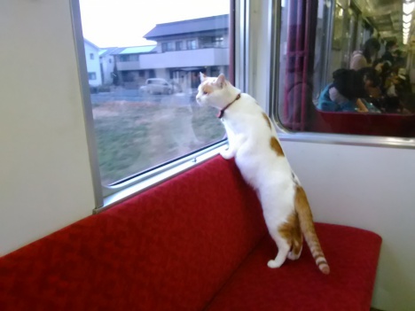 養老鉄道「ねこカフェ列車」