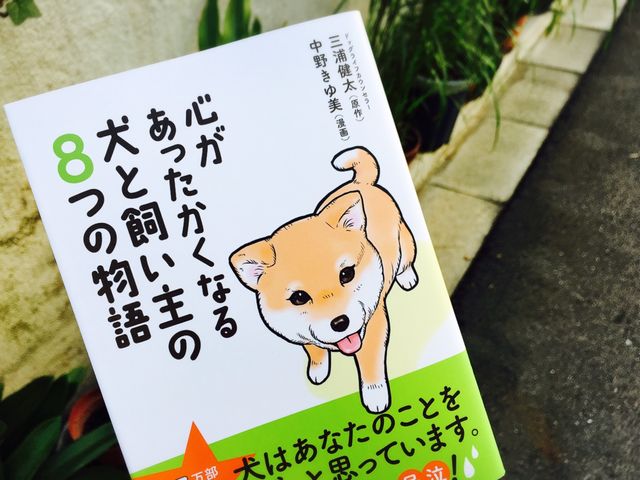 突然死んだ飼い主のおじいさんを想い続ける犬に感動 犬は飼い主を忘れない 新刊jpニュース Goo ニュース