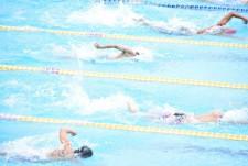 なぜ？アジア大会の競泳・飛び込みが名古屋開催を断念