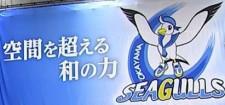 【岡山シーガルズ】10月に開幕する新たなバレーボールのトップリーグ “SVリーグ” 参入へ【岡山】