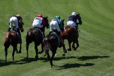 「まるで馬から飛び降りているようだ」海外騎手が“完璧すぎる落馬”で八百長を疑われ５年間の騎乗停止！大激怒のファンから永久追放を望む声