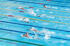 【7月】福岡で世界水泳が開幕！気軽に観戦できる世界水泳の魅力＆福岡での過ごし方プラン
