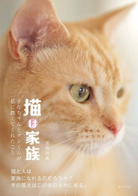 人と猫が一緒に幸せになれますように 猫愛あふれる写真にポエムを添えた写真集 猫は家族 トレンド 写真 Goo ニュース