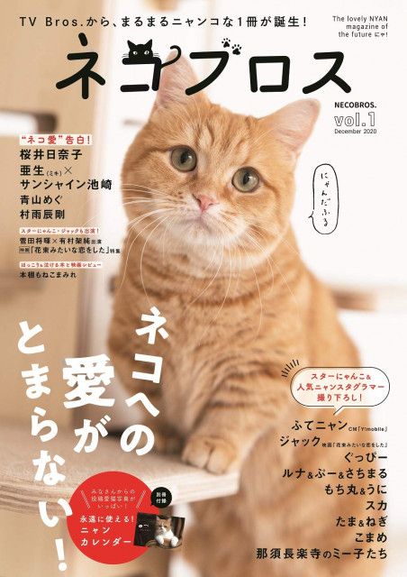 ふてニャン 桜井日奈子 サンシャイン池崎も登場 猫愛が詰まった雑誌 ネコブロス が爆誕 Cat Press Goo ニュース