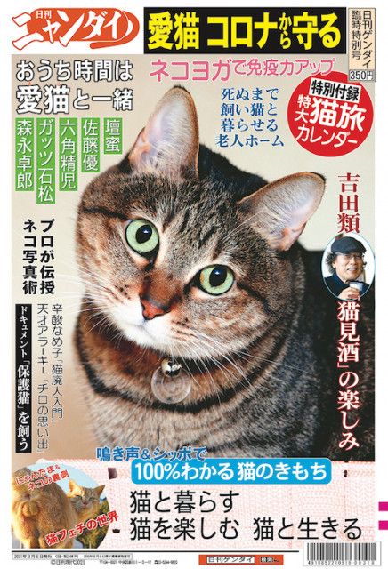 あの夕刊紙がネコ特集号『日刊ニャンダイ』を駅の売店で発売！猫 