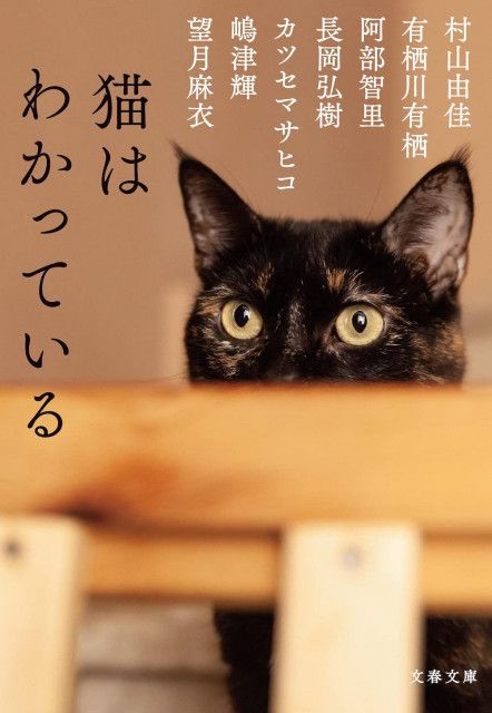 猫を愛する作家たちの小説集「猫はわかっている」が刊行、村山由佳さんのトークイベントも開催