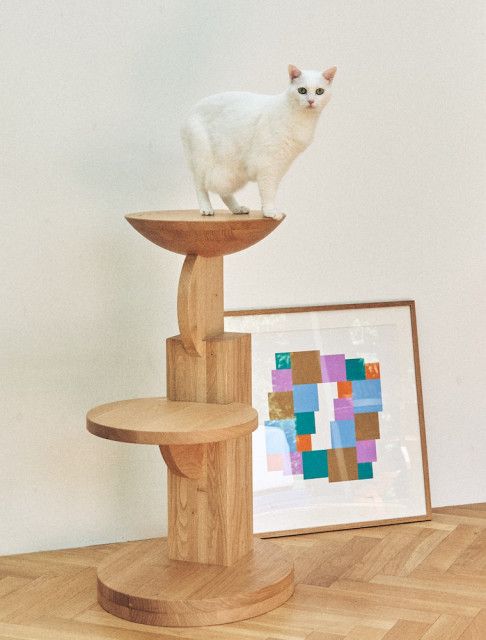 マリメッコの内装を手掛けるデザイン事務所が設計、猫を愛でるための家具「medel（メデル）」