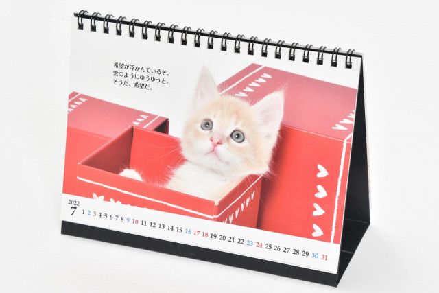 志茂田景樹さんと子猫に癒やされるカレンダー 猫様のお言葉 ネ コ ト バ 22年版が登場 Cat Press Goo ニュース
