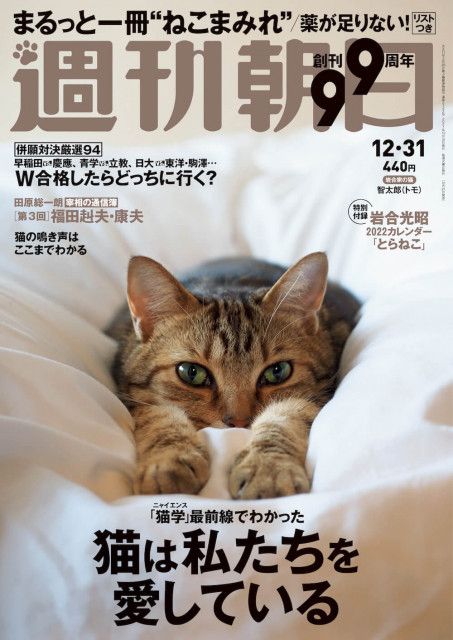 週刊朝日が5年連続で「ネコ特集号」を刊行！岩合さんの愛猫＆ダレノガレ明美のインタビューも収録
