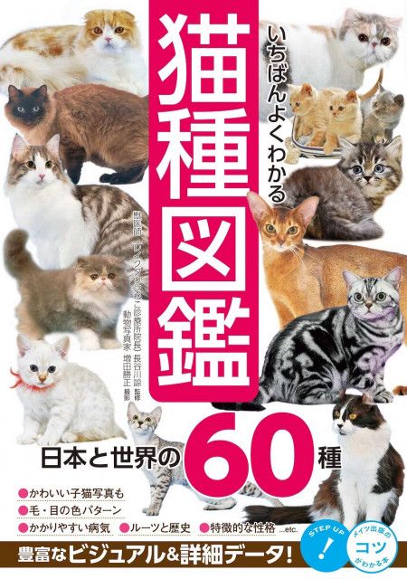 カワイイ を通じてネコへの理解も深まる書籍 いちばんよくわかる猫種図鑑 日本と世界の60種 Cat Press Goo ニュース