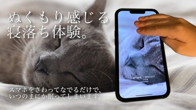 スマホを触りながら寝落ちできるアプリ『睡眠観測』、新たに猫のゴロゴロ音が聞けるコンテンツを追加