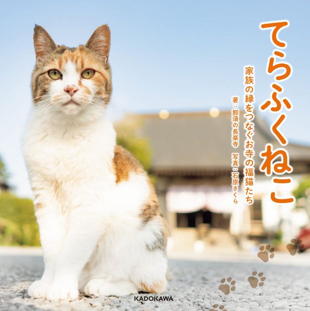お寺で暮らす猫たちのレアショットも収録、那須の長楽寺から新しい写真集『てらふくねこ』が登場