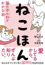 猫がケンカでお腹を見せるのには意外な理由が 100の疑問にq Aで解説する ねこほん Cat Press Goo ニュース