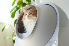 猫のトイレもサブスクの時代！自動猫トイレを定額料金で使用できる「ネコスク」プランが登場