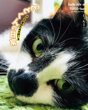 飼い主は超ハイテンション Tiktokで人気の黒白猫 ととくん の日常を紹介した写真集が登場 Cat Press Goo ニュース