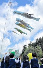 園児に見守られ元気に空を泳ぐ恐竜こいのぼり＝4月25日、勝山市の福井県立恐竜博物館