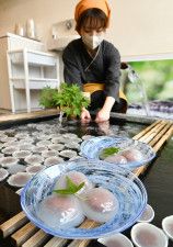 口溶けツルン…名水を使った甘い夏の風物詩　 福井県の菓子店に「くずまんじゅう」の季節