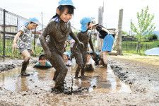 はだしで泥んこ、年長児が代かき　長野県茅野市のわかば保育園