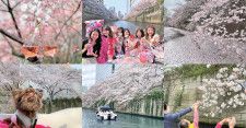 クルーズや謎解きで特別な思い出を作ろう！春のイベント3選