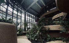 リニューアルされた「渋谷区ふれあい植物センター」1階ガーデン。天井から入ってくる光がベンチや螺旋階段のやわらかな曲線を照らす（画像：アーバンライフメトロ編集部）