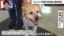 盲導犬に「声かけ」「触る」「目をじっと見る」はNG… 利用者「犬の気を引くようなことはしないで」と訴え