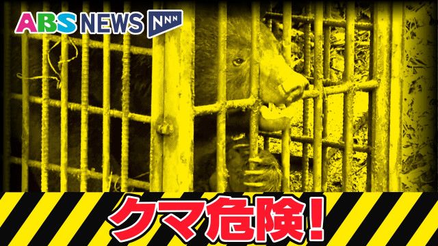 秋田大学の敷地内でクマ　体長約50センチ　23日夜に大学生が目撃　秋田市　