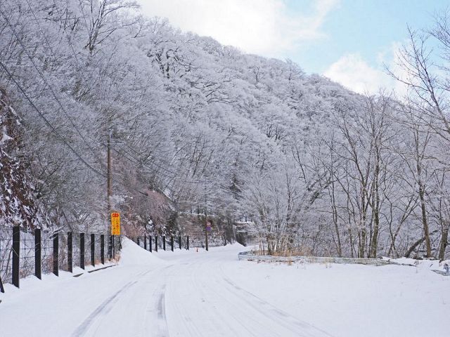 山に雪、広範囲でひょう　春分の日大荒れ、和歌山県南部