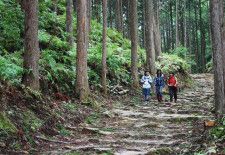 観光キャンペーンで熊野古道のウオークイベントなどが予定されている