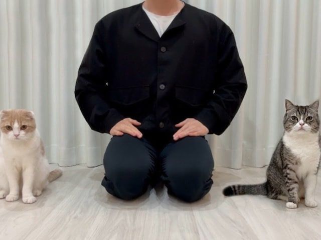 もちまる日記、嘔吐を報告も寄せられる辛らつな声「猫を酷使した もちまる日記、嘔吐を報告も寄せられる辛らつな声「猫を酷使した