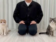 もちまる日記、嘔吐を報告も寄せられる辛らつな声「猫を酷使した もちまる日記、嘔吐を報告も寄せられる辛らつな声「猫を酷使した