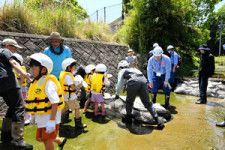 名張川支流で「なまず遡上作戦」　子どもたちが魚道作り体験