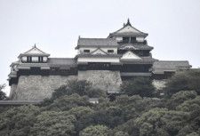 愛媛県内の人気観光地の一つである松山城の天守＝松山市