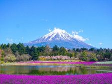他人事ではない富士山の噴火。首都圏も降灰10㎝予測｜インフラ寸断で食料飲料不足に【2月23日富士山の日】