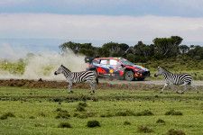 WRCサファリ・ラリー・ケニアのエントリーリストが発表。王者ロバンペラが継続参戦、フォードが3台体制に