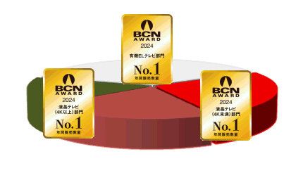 【BCN AWARD 2024】薄型テレビの各部門で年間No.1を獲得したのは？