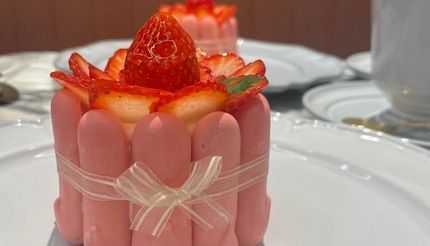 大阪・北新地で苺の気持ちになれるかも!? ビジュ爆発の限定ケーキ。