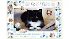 人気の猫クリエイターが集結する「ねこ休み展」、冬の本祭が東京・浅草橋にて開催中