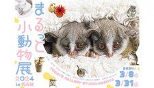 ハリネズミやリスなど小動物が主役の合同写真展＆物販展「まるっと小動物展」、名古屋のギャラリーで開催