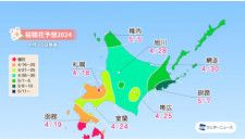 北海道の桜は4月第4週が見頃に。ウェザーニューズが2024年シーズン最後の桜開花予想で発表